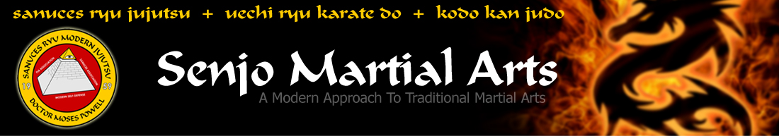 Senjo Martial Arts Header